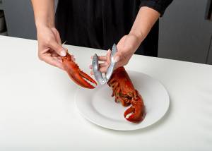 Αστακοθραύστης ανοξείδωτος Acer 13cm