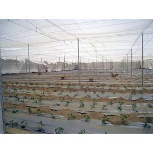 ΔΙΧΤΥ ΕΝΤΟΜΟΣΤΕΓΕΣ 16/16 1.40/100m SITO