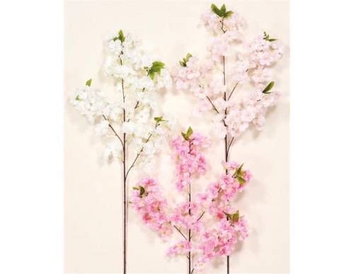 KΛAΔI KEPAΣIA 95EK.