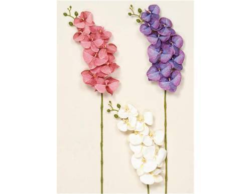 Κλαδί ορχιδέα real touch