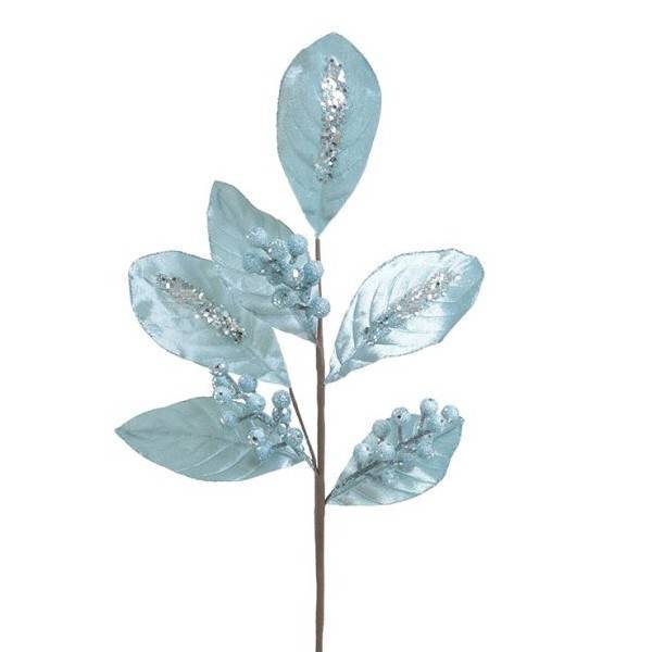 ΚΛΑΔΙ/ΦΥΤΟ ΓΑΛΑΖΙΟ Υ56