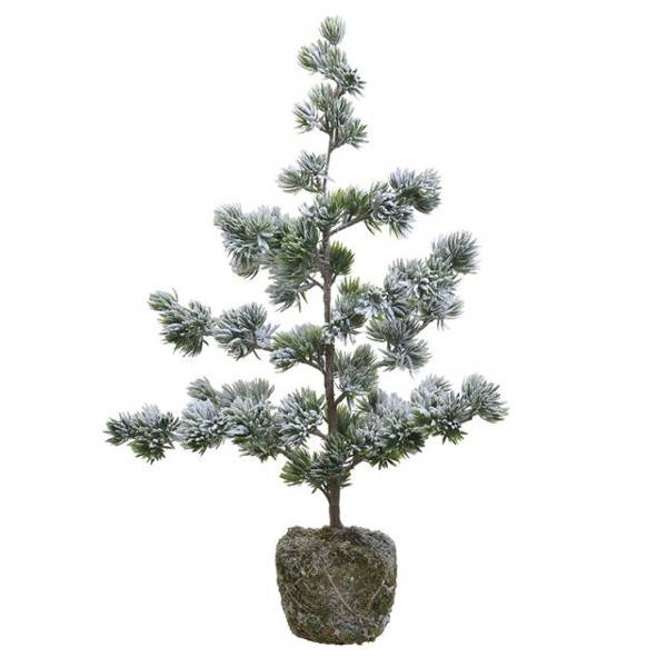 ΔΕΝΤΡΑΚΙ ΧΙΟΝΙΣΜΕΝΟ ΠΡΑΣΙΝΟ/ΛΕΥΚΟ Y75