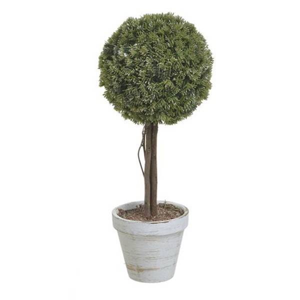 ΦΥΤΟ ΣΕ ΓΛΑΣΤΡΑ ΠΡΑΣΙΝΟ/ΧΡΥΣΟ Υ36