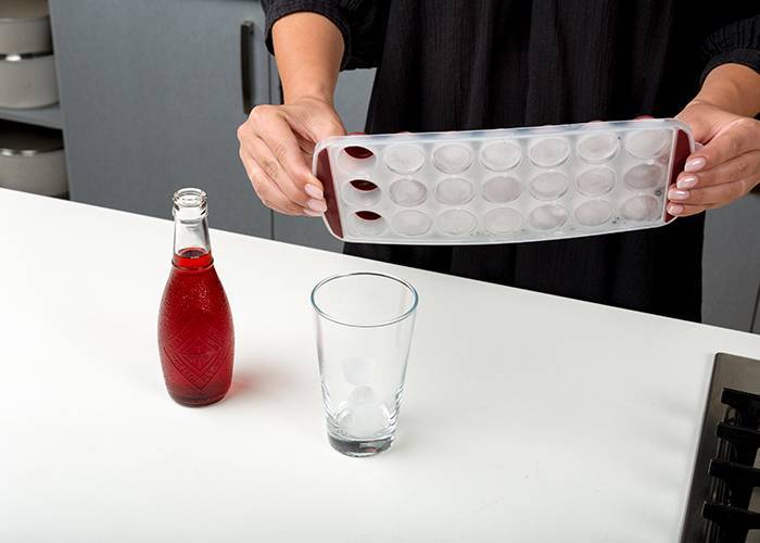 Παγοθήκη πλαστική Terrestrial 30cm