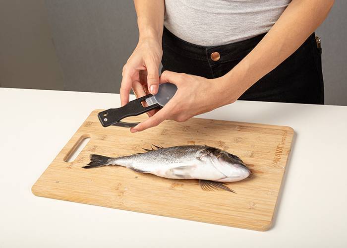 Εργαλείο απολέπισης ψαριών Acer με ανοξείδωτη λάμα και αποθηκευτικό χώρο 20cm