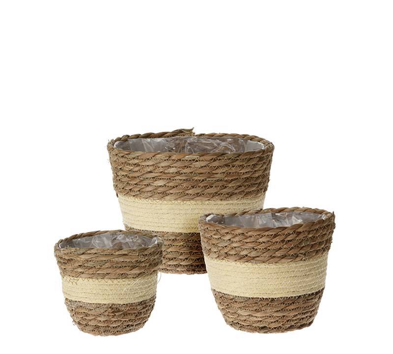 Σ/3 κασπώ υάκινθου κρεμ/καφέ χρ. 14/16/18cm HE268