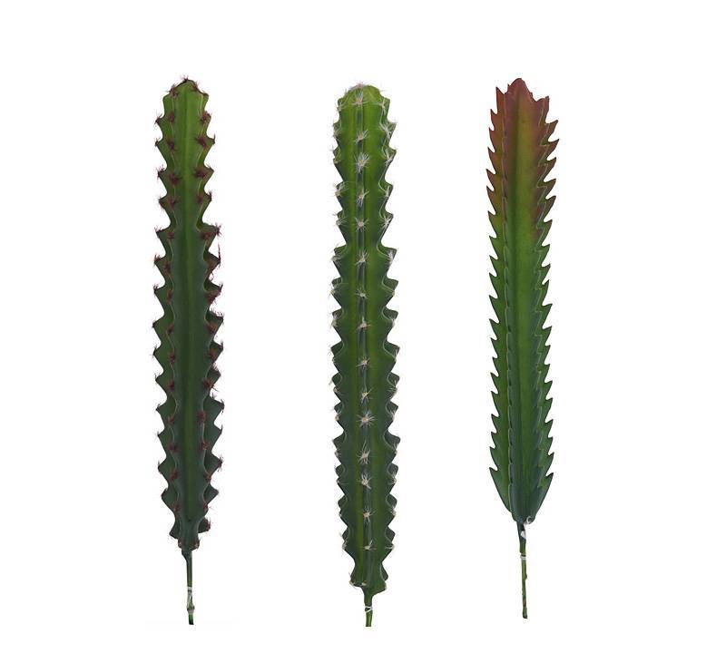 Κλαδί κάκτου σε 3 σχέδια.,31cm FL063