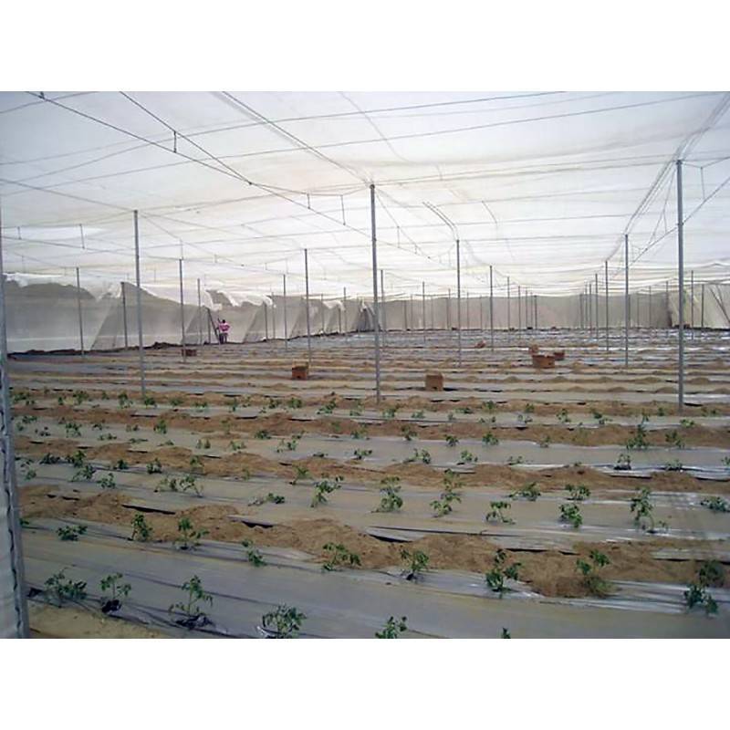 ΔΙΧΤΥ ΕΝΤΟΜΟΣΤΕΓΕΣ 16/16 1.40/100m SITO