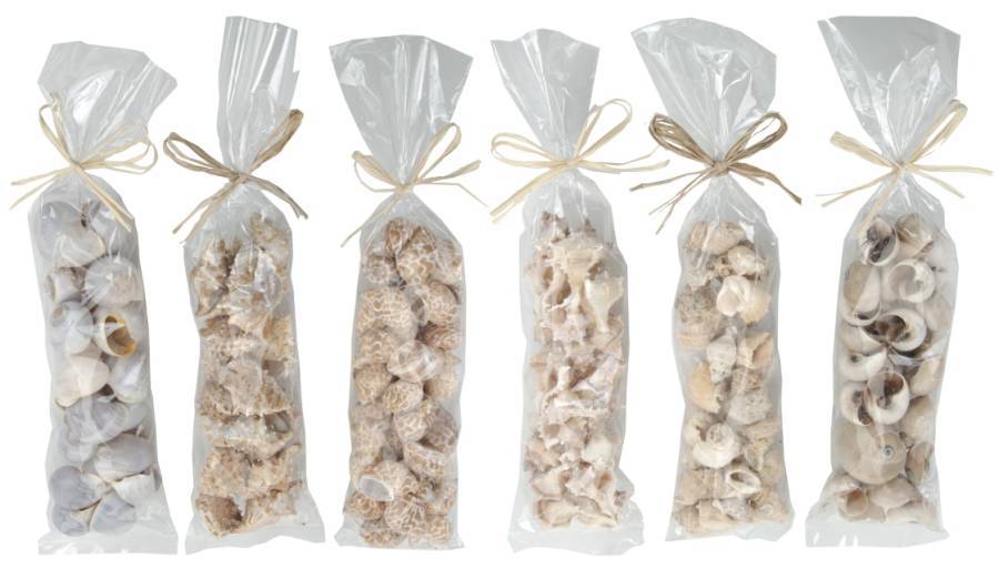 Κοχύλια διακοσμητικά σε  σακούλα, 6 σχέδια HM303