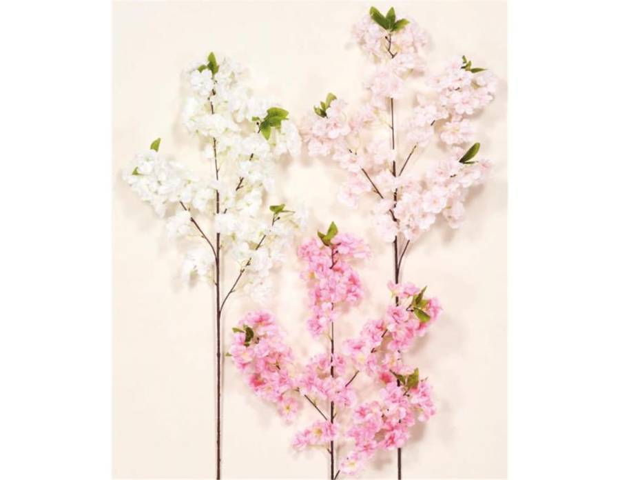 KΛAΔI KEPAΣIA 95EK.