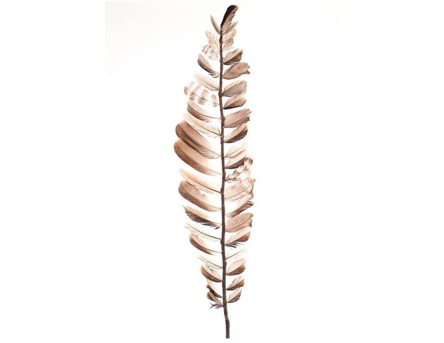 Κλαδί με πούπουλα Η100cm