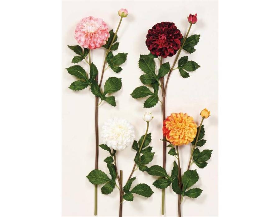 Κλαδί ντάλια