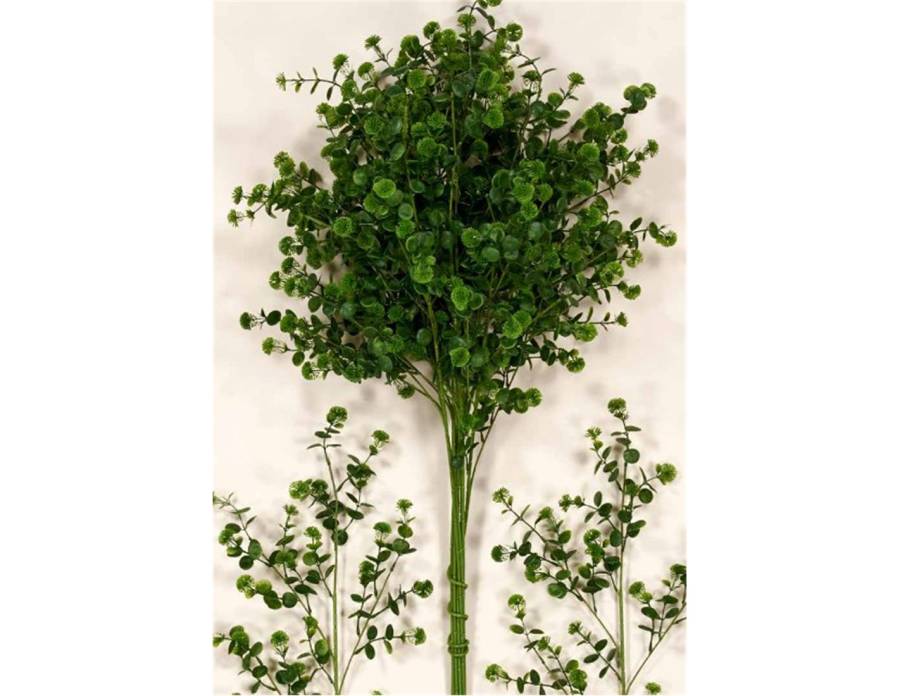 Κλαδί πρασινάδα