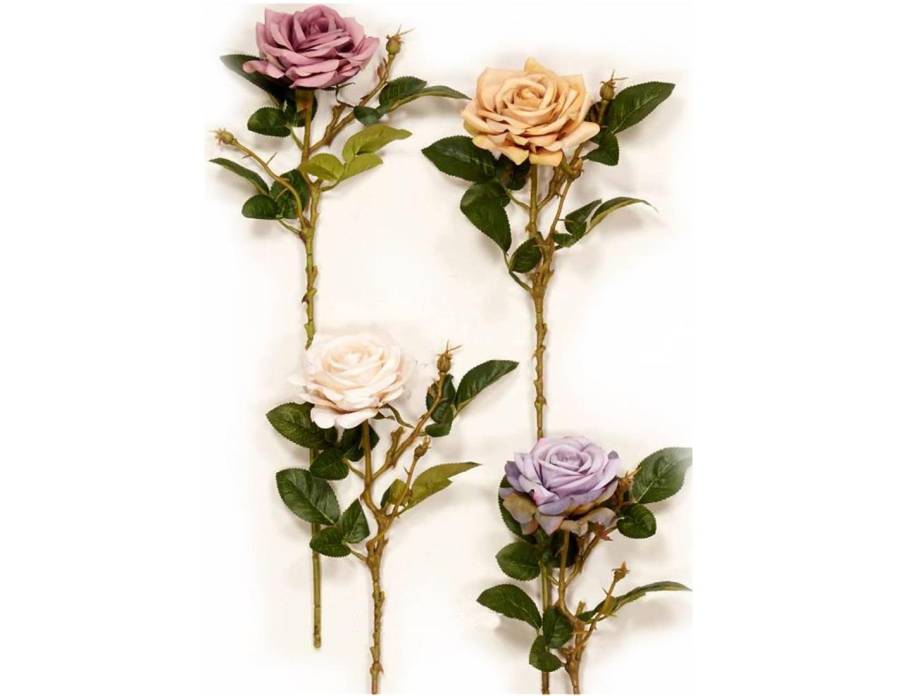 ΚΛΑΔΙ ΤΡΙΑΝΤΑΦΥΛΛΟ 79cm