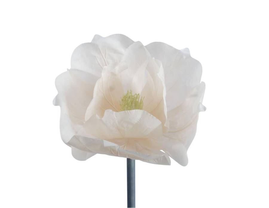 Λουλούδι Μανώλια 50x40cm