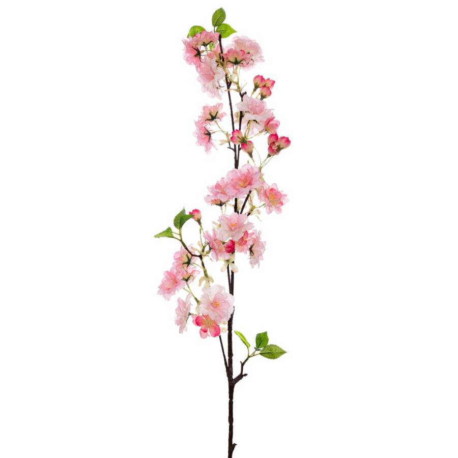 ΡΟΖ ΡΟΔΑΚΙΝΙΑ ΚΛΑΔΙ 100ΕΚ ΜΕ UV ΠΡΟΣΤΑΣΙΑ