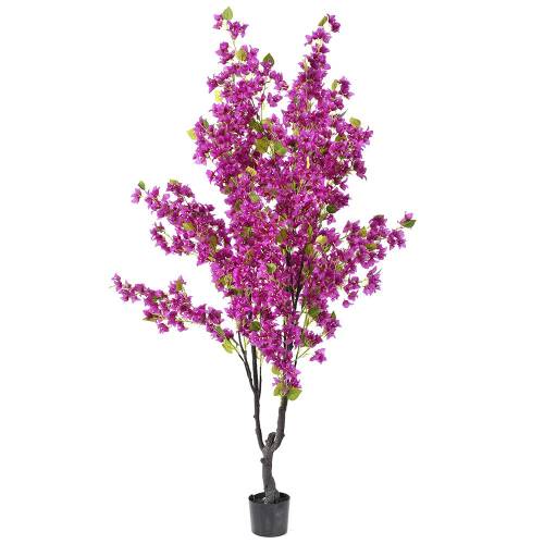 ΦΥΤΟ ΒΟΥΚΑΜΒΙΛΙΑ 210ΕΚ ΣΕ ΠΛΑΣΤΙΚΗ ΓΛΑΣΤΡΑ