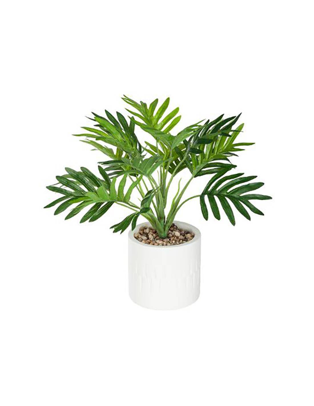 Φοίνικας σε κασπώ 29εκ.