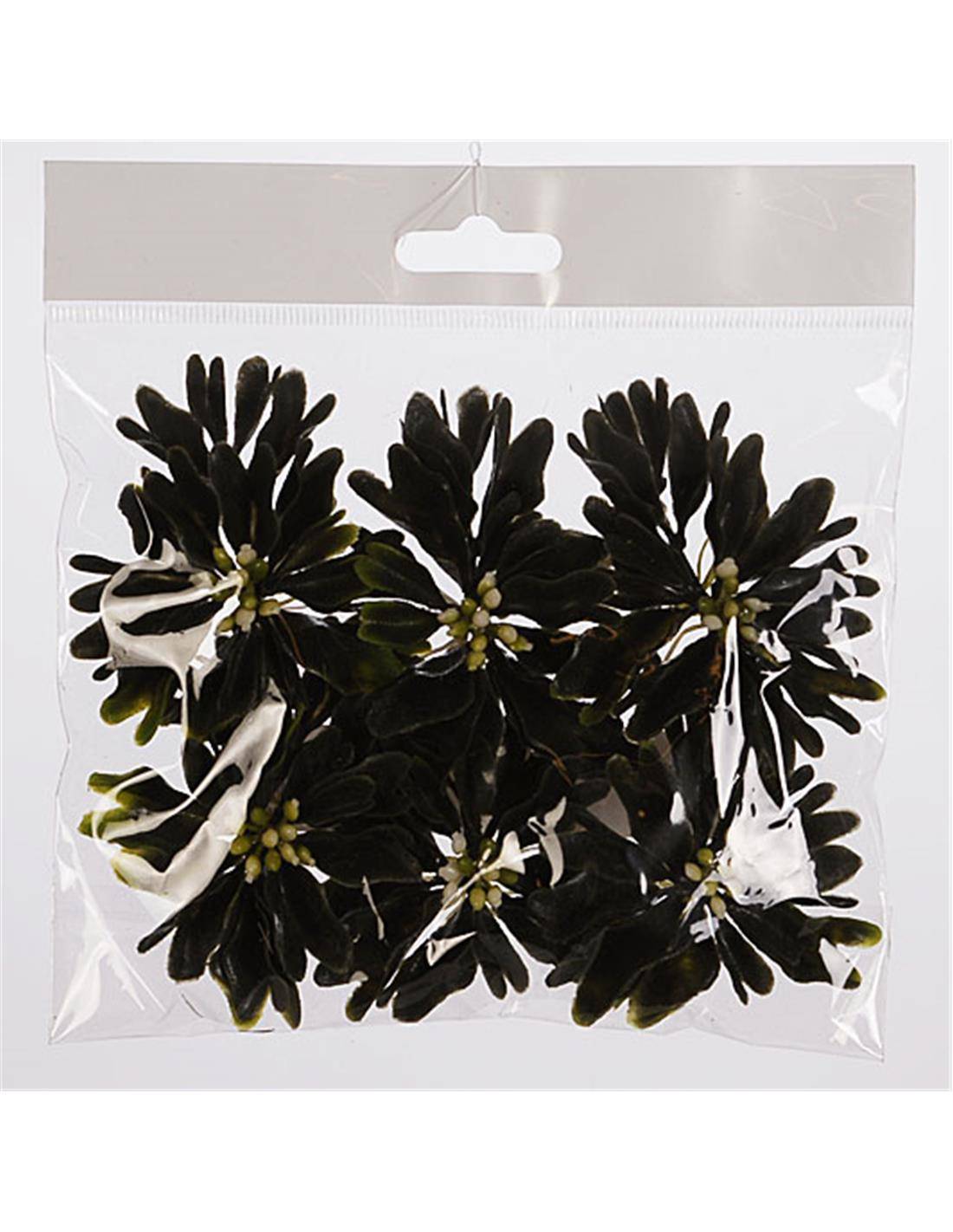 Φύλλα waterplant χρ.πράσινο