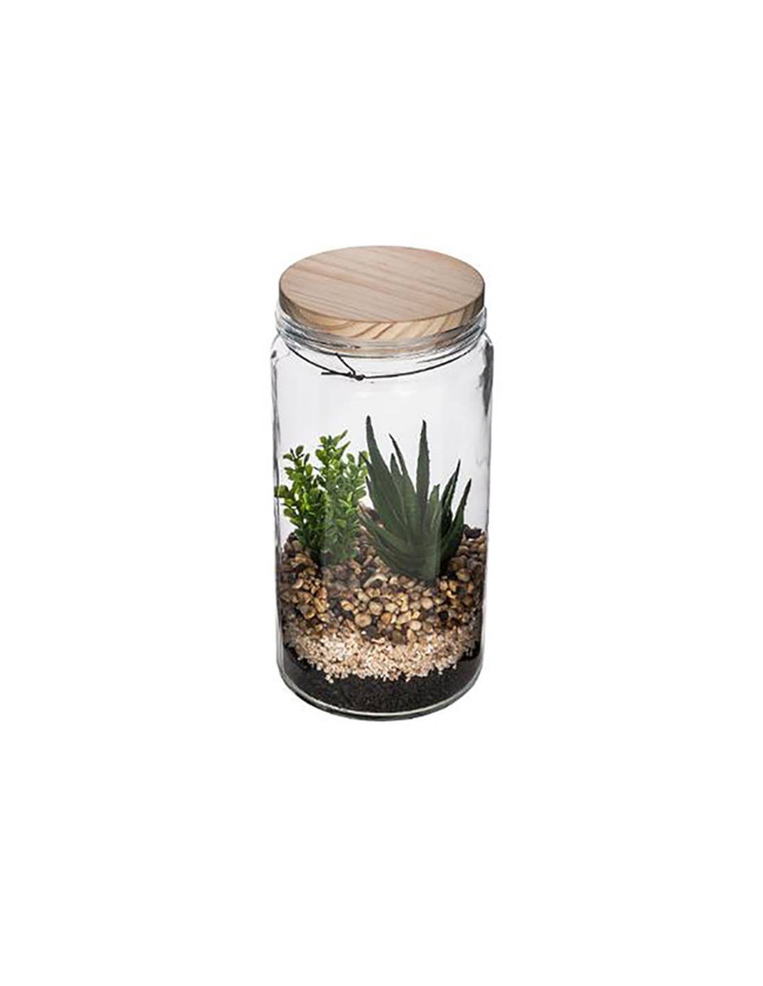 Κάκτοι σε γυαλ.terrarium 2σχ.11X22