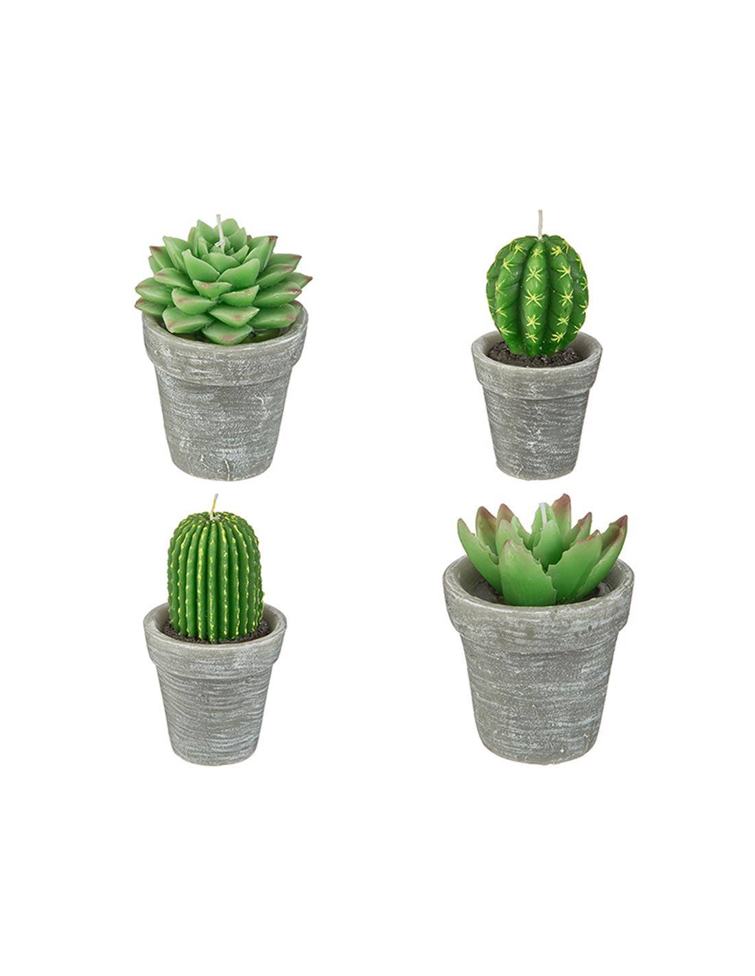 Κάκτος κερί σε κασπώ 14εκ. 4σχ.