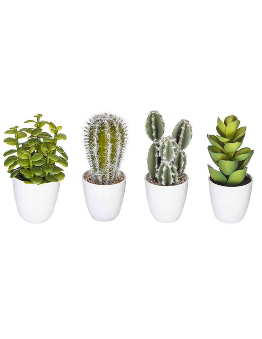 Κάκτος σε πλασ.κασπώ 7,5Χ20, 6σχ.