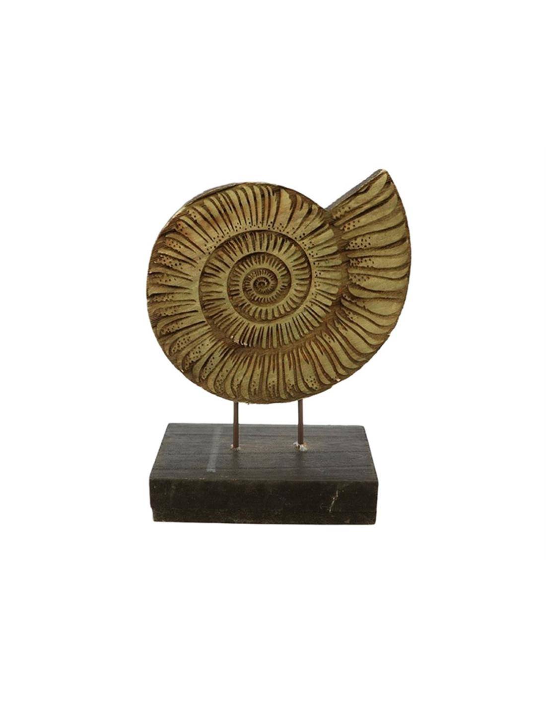 Κοχύλι σε βάση 16,5Χ23