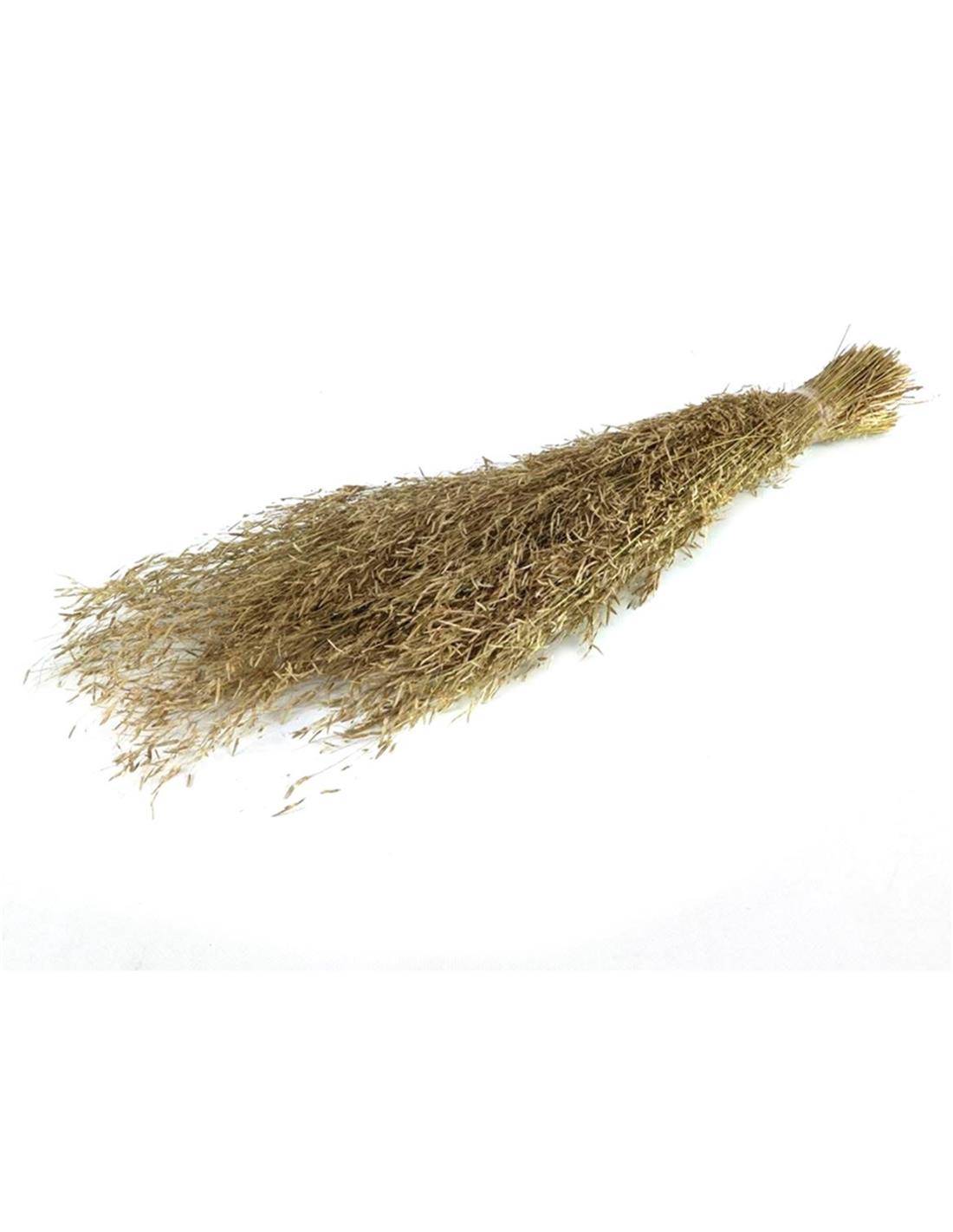 MUNNI GRASS 100GR NATURAL