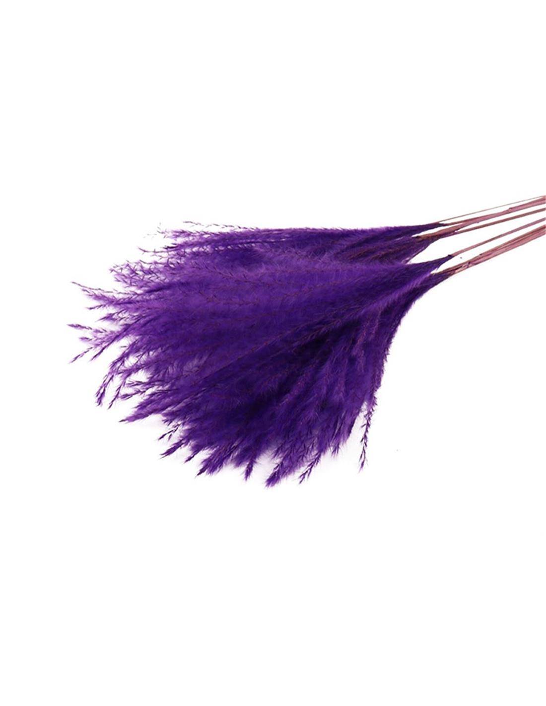 PAMPAS FLUFFY 10pc PURPLE