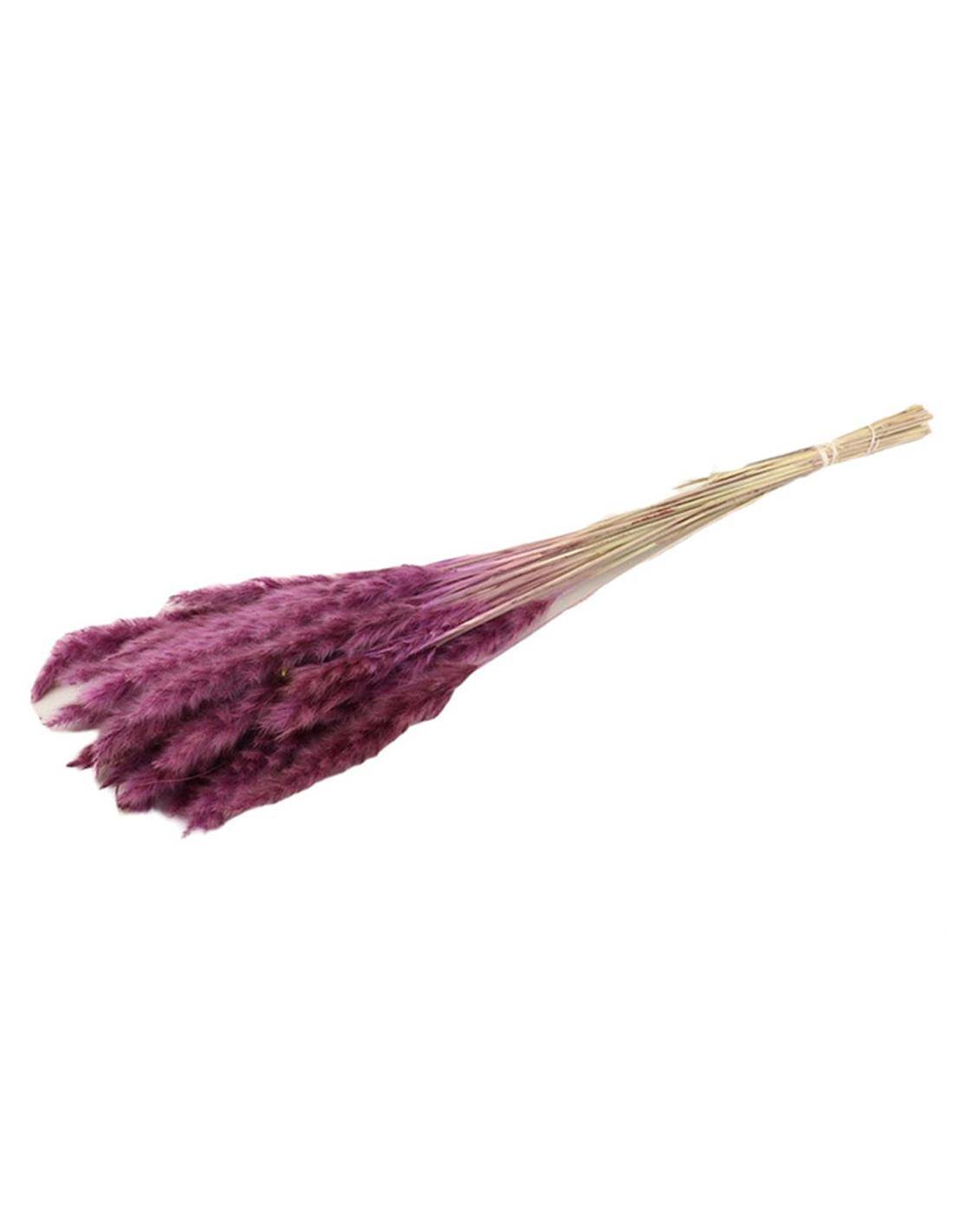 PAMPAS FLUFFY 70GR VIOLET