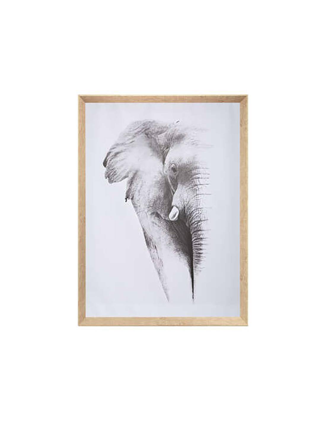 Πίνακας ANIMAL 2σχ. 58Χ78