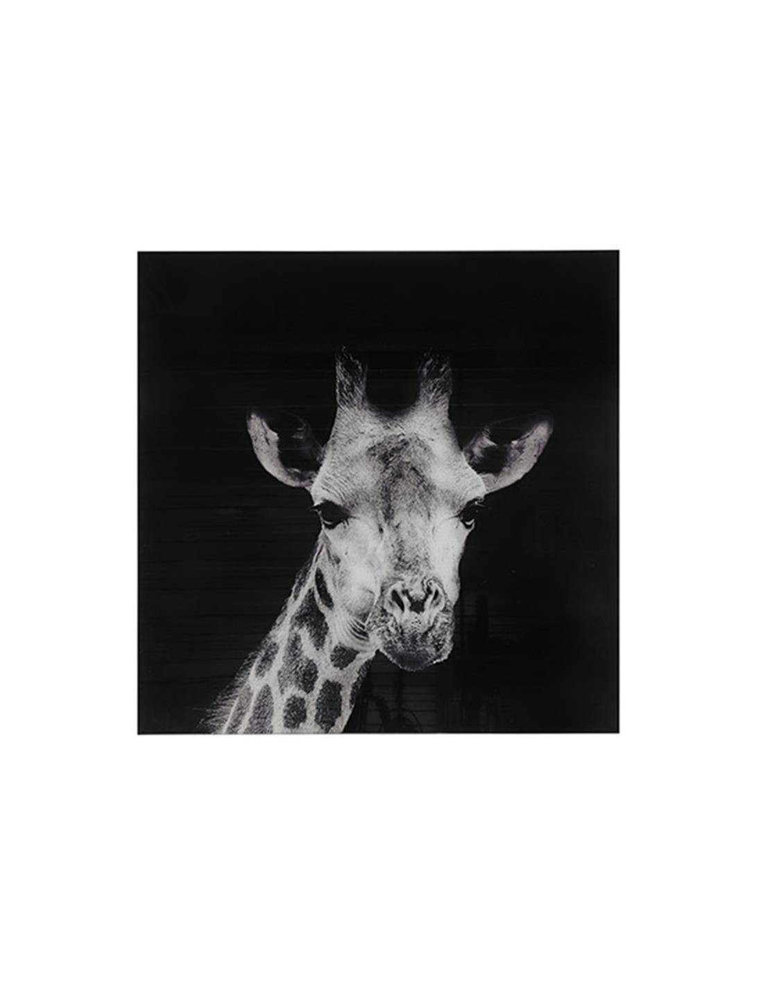 Πίνακας γυαλ.Καμηλοπάρδαλη 80Χ80