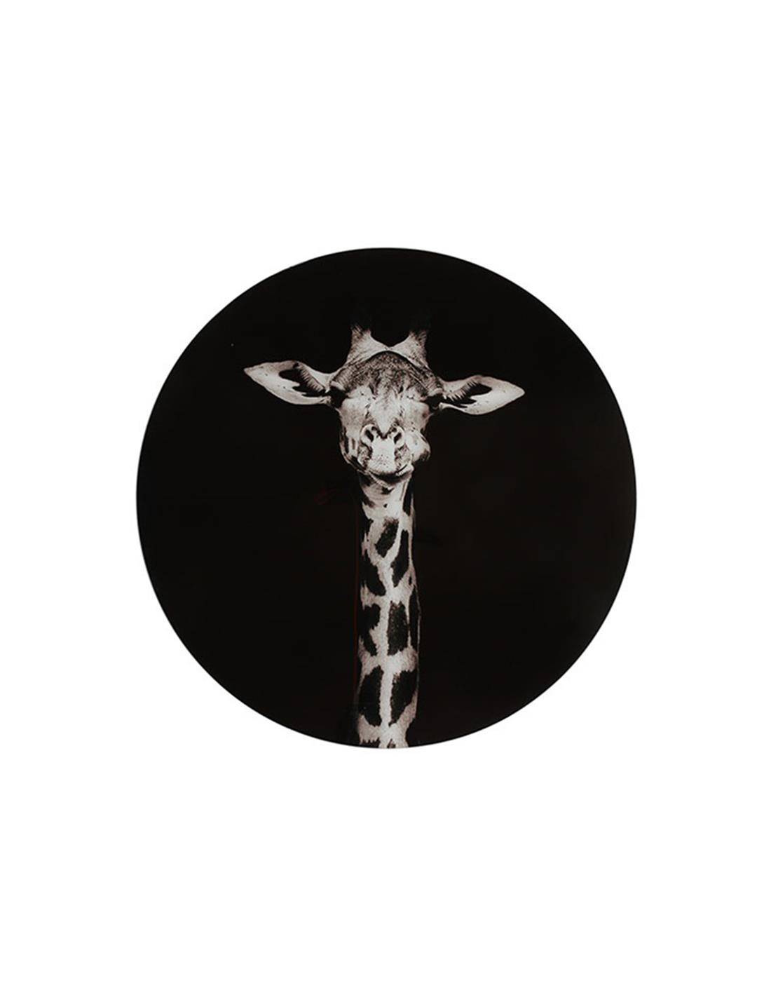 Πίνακας τοίχου γυαλ.Girafe ασπρόμαυρο 60X60