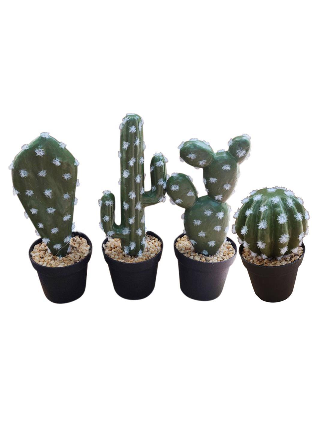 Κάκτος σε πλ.κασπώ 14-27εκ. 4σχ.