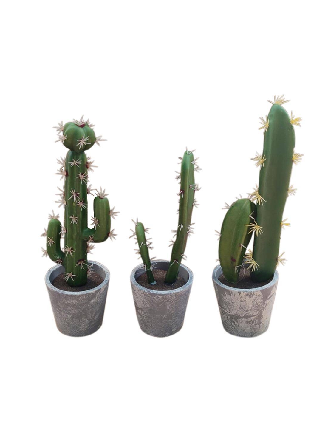 Κάκτος σε χαρ.κασπώ 26-31εκ. 3σχ.