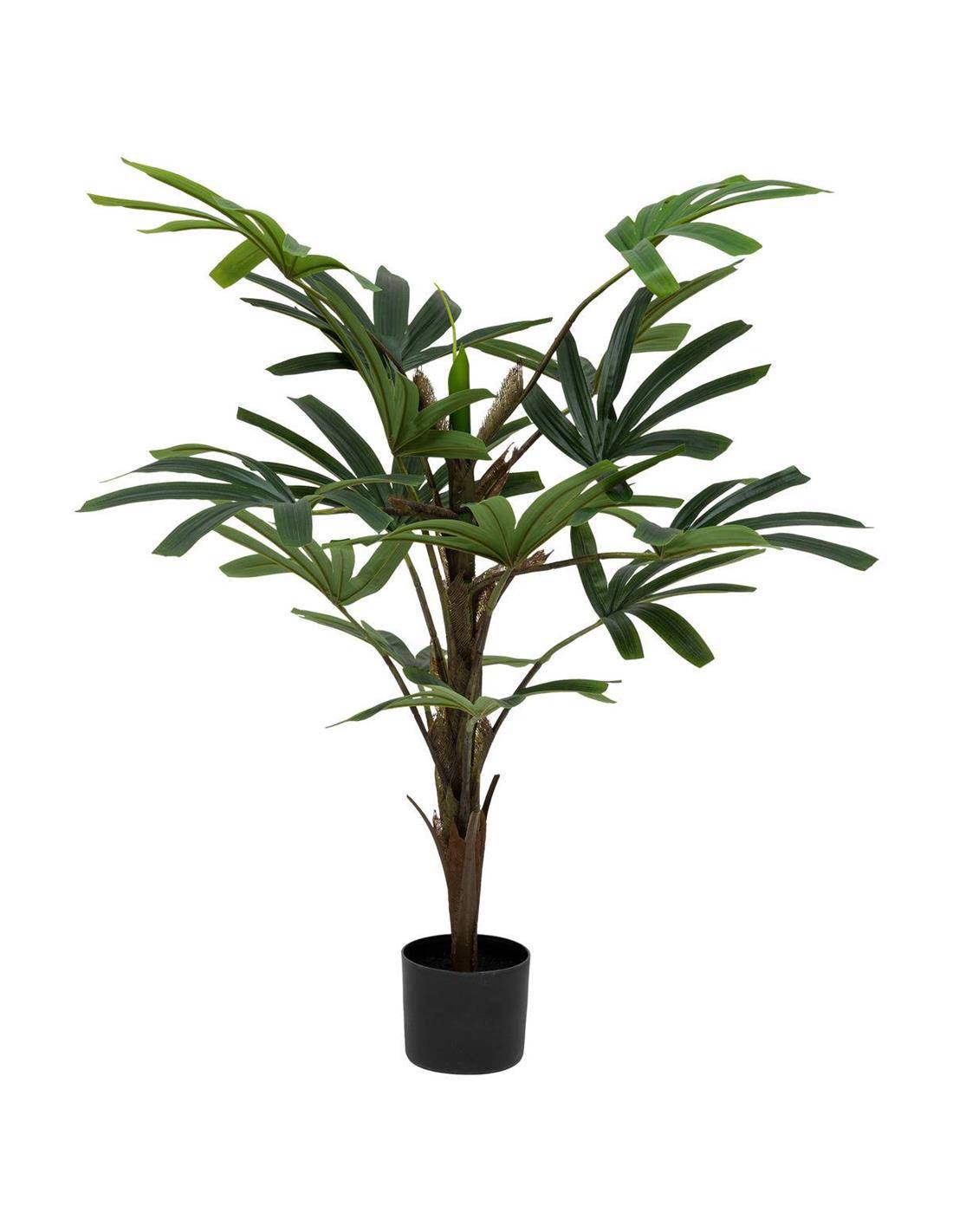 Bamboo πρασινάδα σε κασπώ 120εκ.