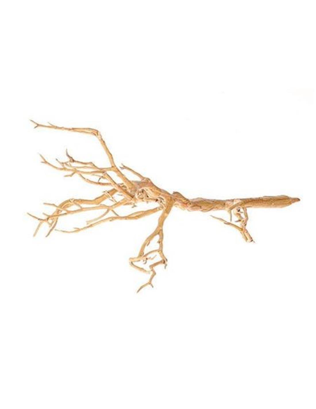 Κλαδί ρίζα φυσικό