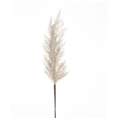 ΦΥΣΙΚΟ ΛΕΥΚΟ ΚΛΑΔΙ PAMPAS