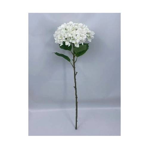 ΜΕΓΑΛΗ ΡΟΖ ΟΡΤΑΝΣΙΑ 100ΕΚ Φ30ΕΚ