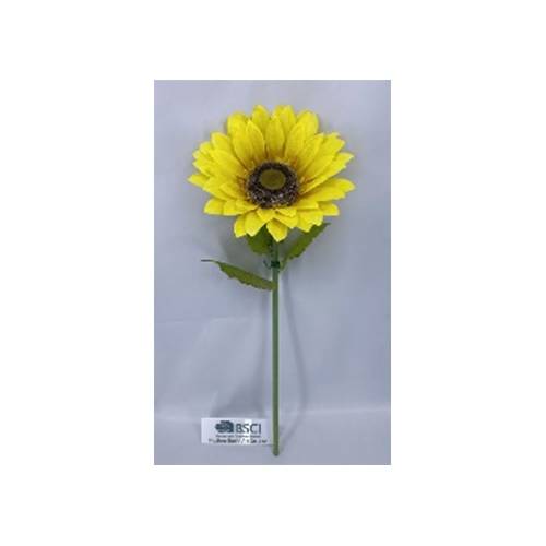 ΓΙΓΑΣ ΗΛΙΑΝΘΟΣ 115ΕΚ  Φ50ΕΚ ΚΛΑΔΙ