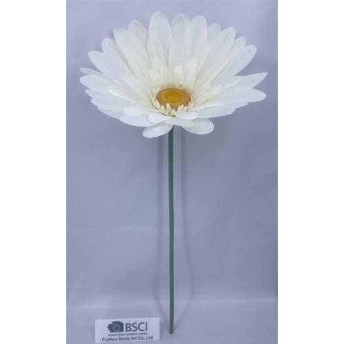 ΓΙΓΑΣ ΡΟΖ ΧΡΥΣΑΝΘΕΜΟ 125ΕΚ Φ50ΕΚ ΚΛΑΔΙ