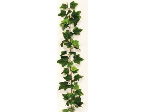 ΓIPΛANTA KIΣΣOΣ ΠPAΣINOΣ 220EK.