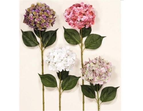 KΛAΔI OPTANΣIA Real Touch