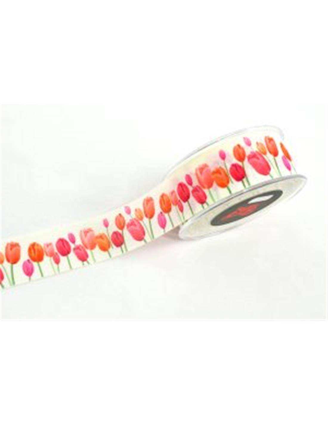 ΚΟΡΔΕΛΑ LIBERTAD SPRING TULIP 3,8cmX18m