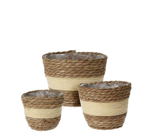 Σ/3 κασπώ υάκινθου κρεμ/καφέ χρ. 14/16/18cm HE268