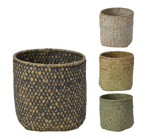 Κασπώ από "Seagrass", 4 χρώματα, 12x12x12cm FL166