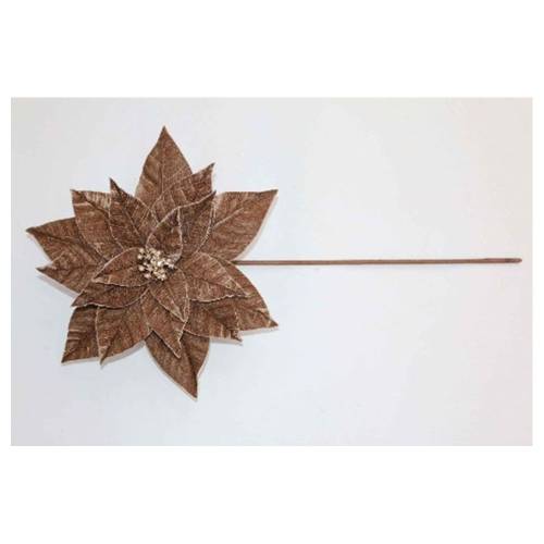 ΚΑΦΕ ΑΛΕΞΑΝΔΡΙΝΟ ΠΙΚ 30Χ50ΕΚ