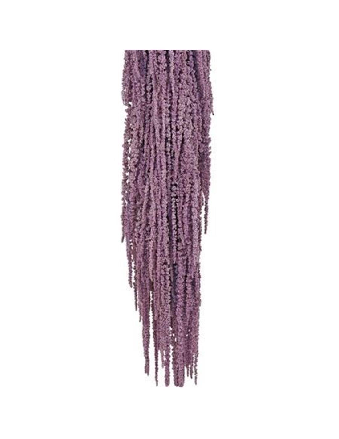 Αμάρανθος αποξ. μοβ Η80cm