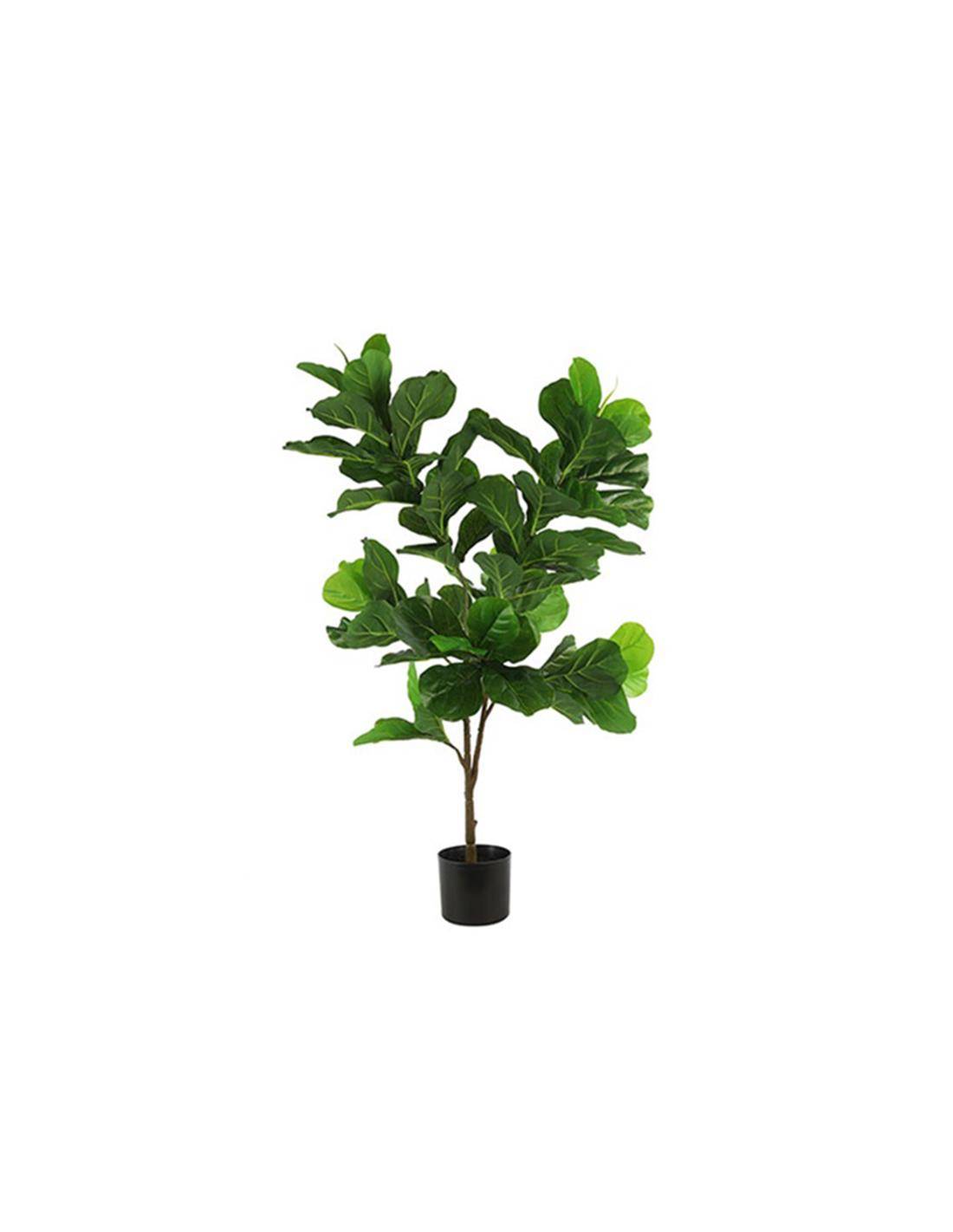 Φύκος σε κασπώ 120εκ.