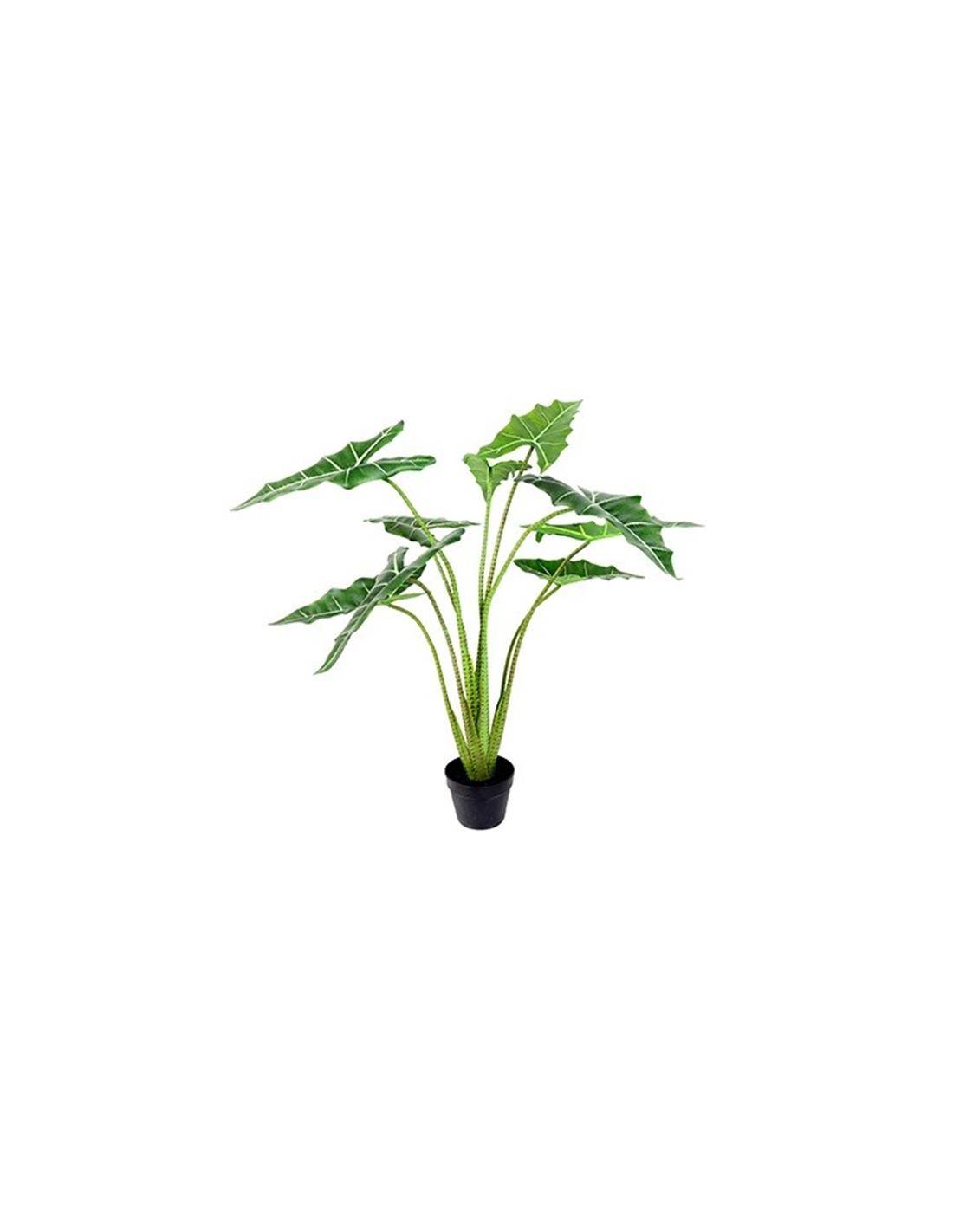 Φύκος σε κασπώ Η120cm